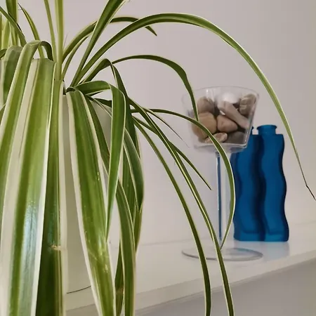 Delina Apartman