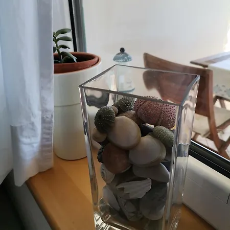 Delina Apartman *