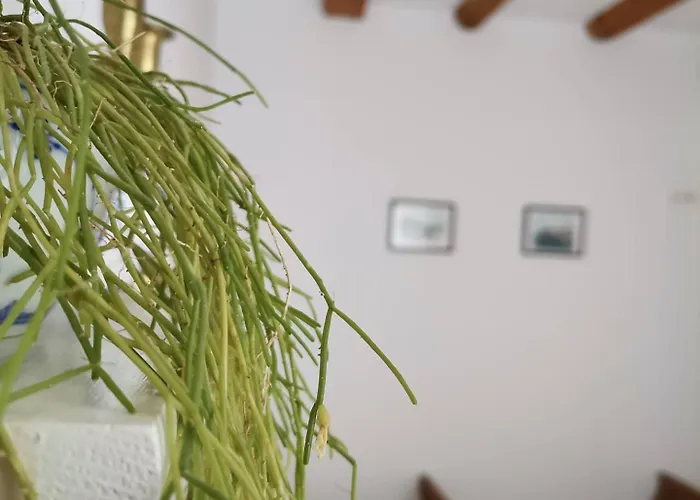 Apartman Delina Banjol