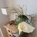 Delina Appartement *