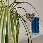 Delina Appartement