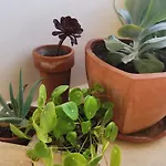 Delina Appartement
