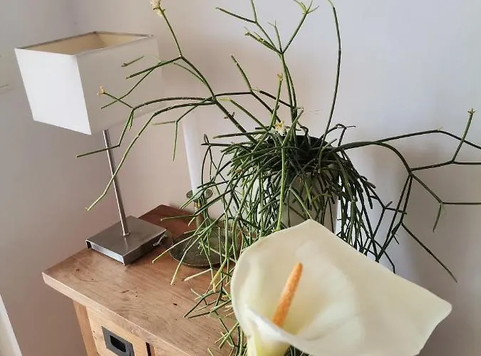 Delina Appartement *
