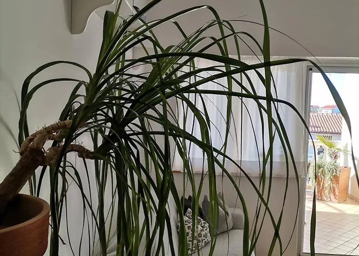 Delina Appartement Banjol